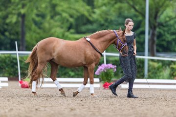 Bild 154 - Pony Akademie Turnier